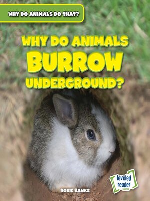 cover image of Why Do Animals Burrow Underground?